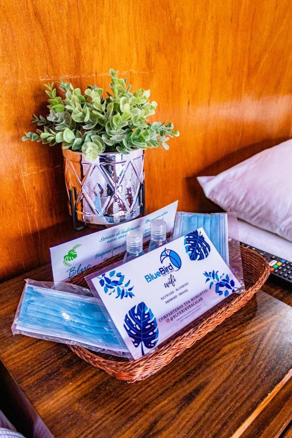 Blue Bird Hotel Bacalar
